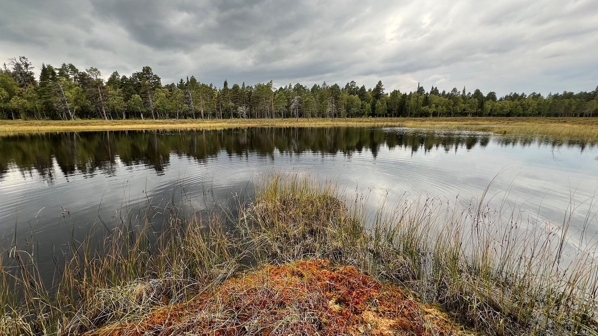 Skogen speglar sig i en tjärn omgiven av höstfärger