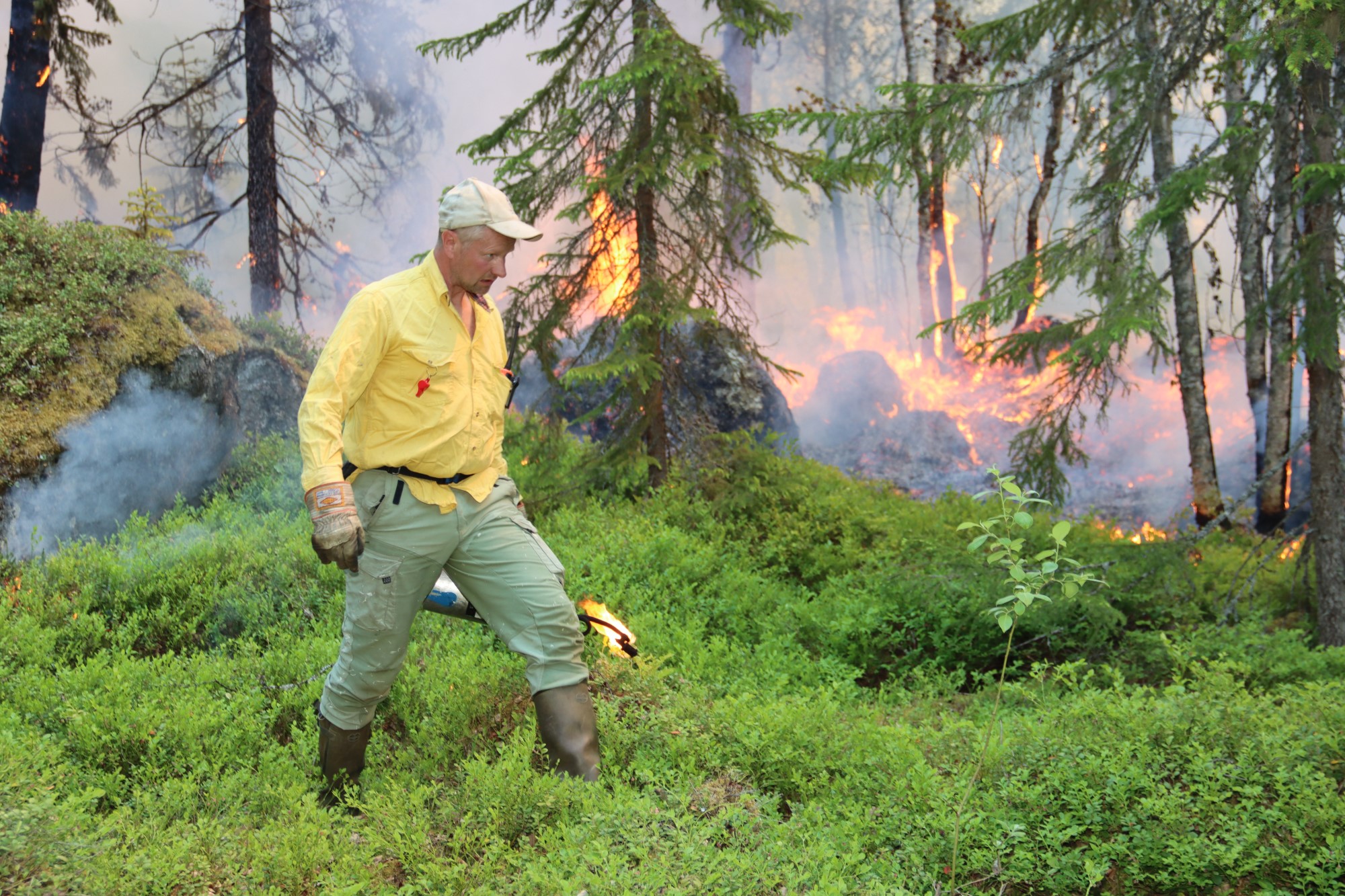 En person som jobbar med naturvårdsbränning går i en brinnande skog