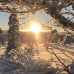 Solen tittar fram mellan trädgrenar täckta av gnistrande snökristaller, med träd i bakgrunden.