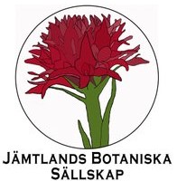 Jämtlands landskapsblomma Brunkulla pryder logotypen för Jämtlands Botaniska sällskap