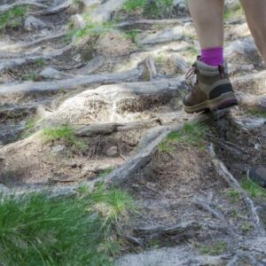 Ett par fötter i vandringskängor går på stig med rötter