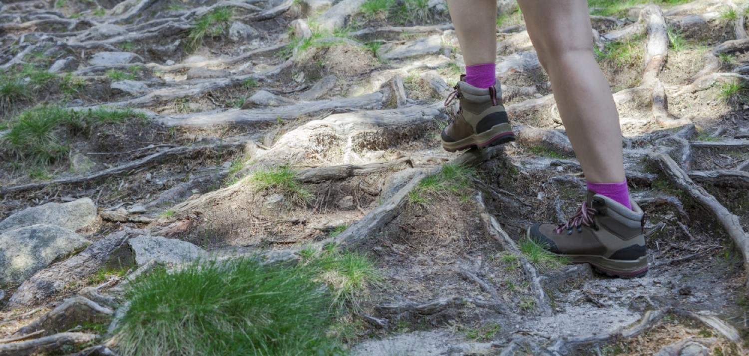 Ett par fötter i vandringskängor går på stig med rötter