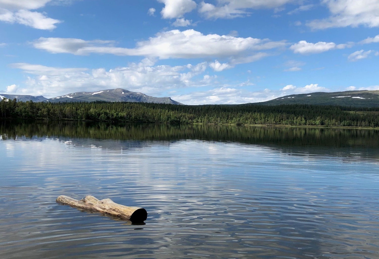 En avkapad stock som ligger i vattnet, i bakgrunden blå himmel och fjäll