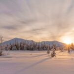 Vinterlandskap med soluppgång över ett fjäll i bakgrunden