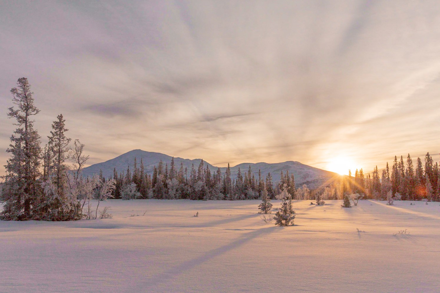 Vinterlandskap med soluppgång över ett fjäll i bakgrunden
