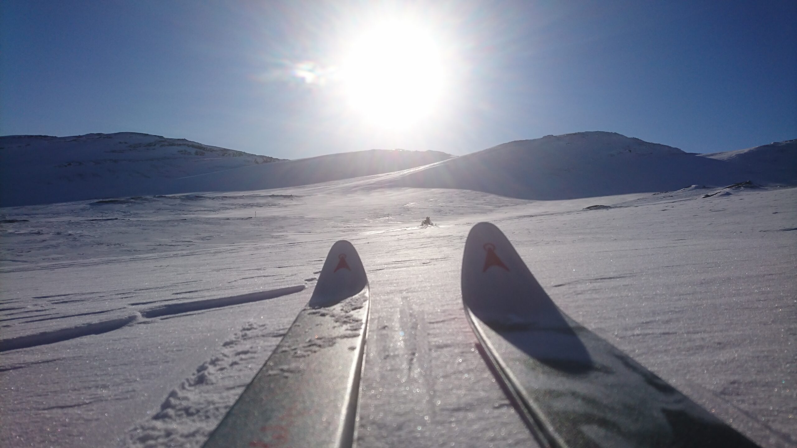 Två skidspetsar på en fjällsluttning som pekar rakt mot solen