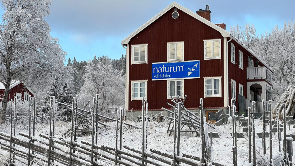 Naturumhuset i vinterskrud, med en gärdesgård i förgrunden