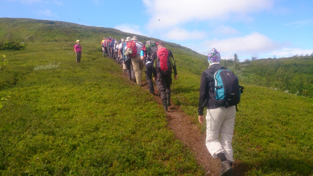 Grupp på vandring en solig dag, längs stig uppför grönskande kalfjäll