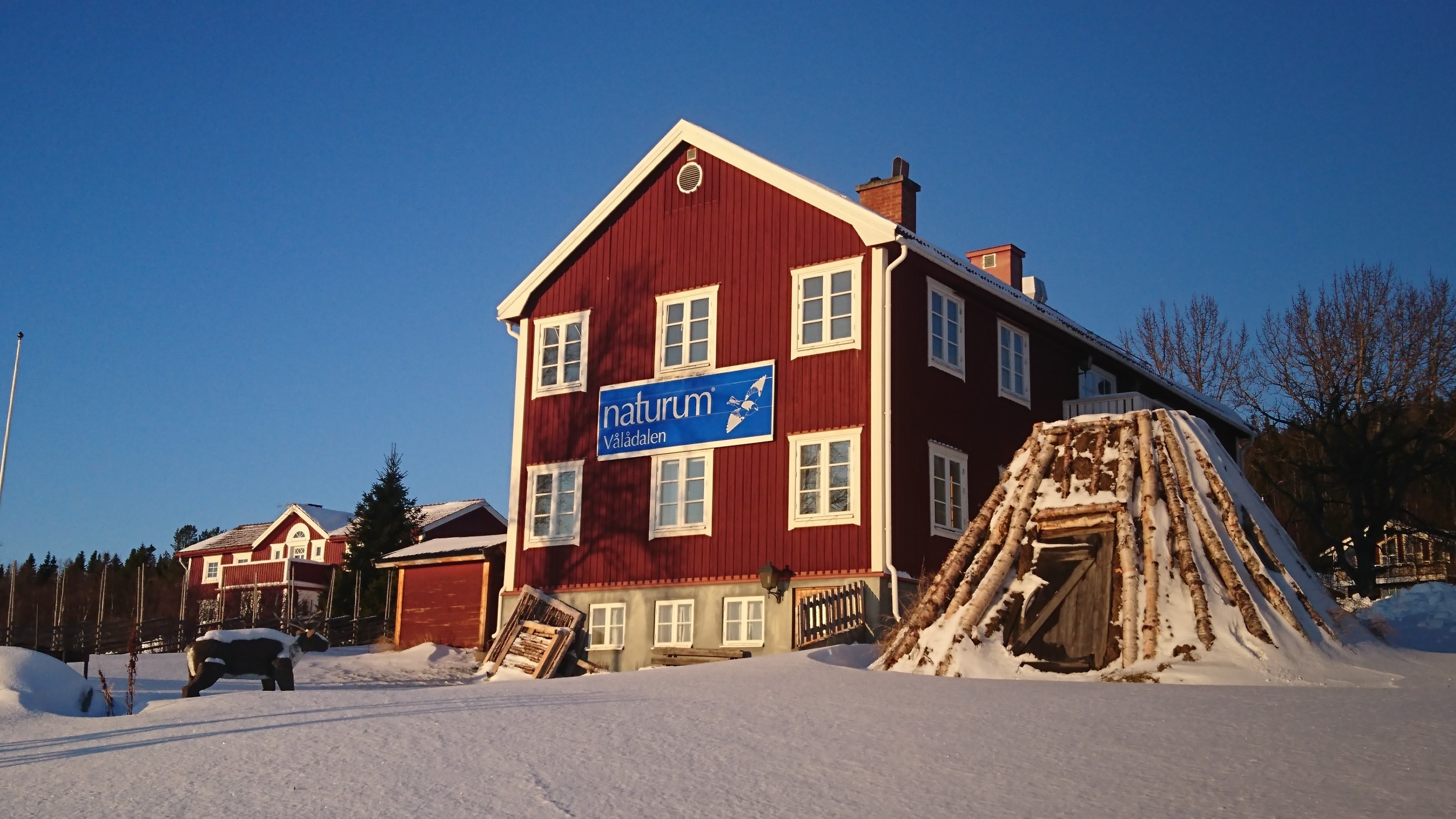 Naturumhuset och kåtan med blå himmel och snö