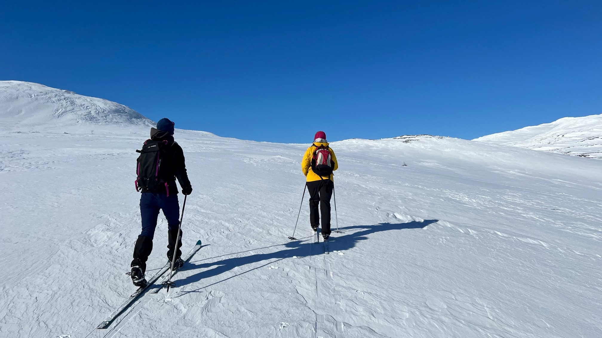 Två personer åker skidor uppför en sluttning på kalfjället. Blå himmel, vit snö.