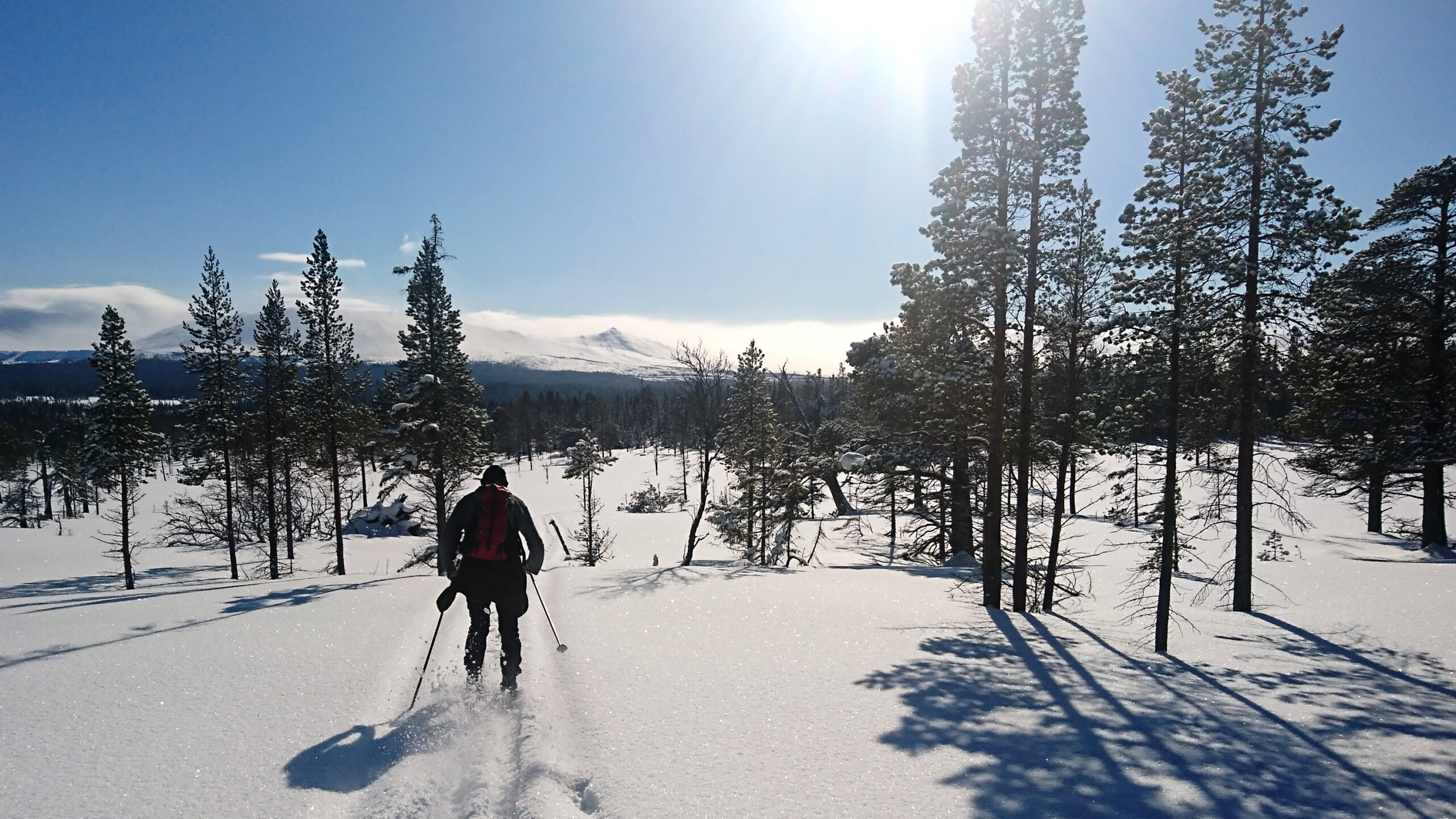 Skidåkare på orörd snö i soligt fjällandskap