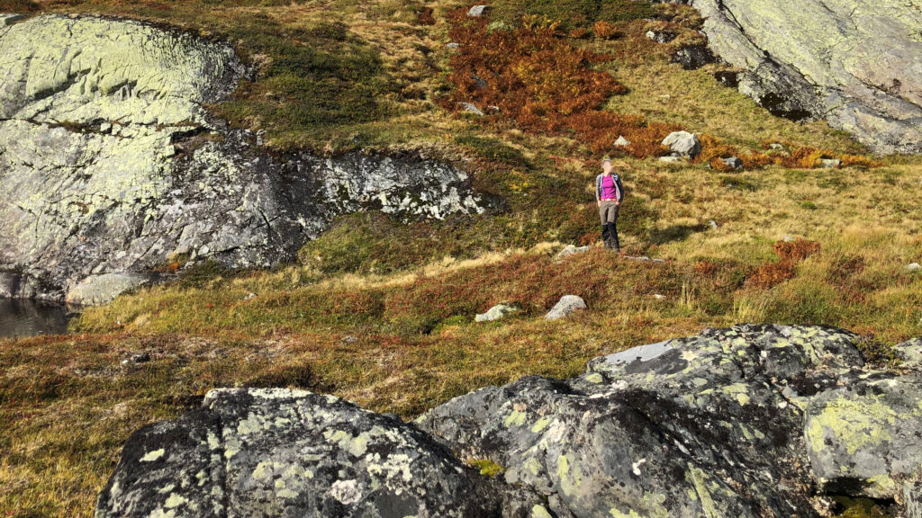 Höstfjället bjuder på gula, bruna och rostiga färgtoner