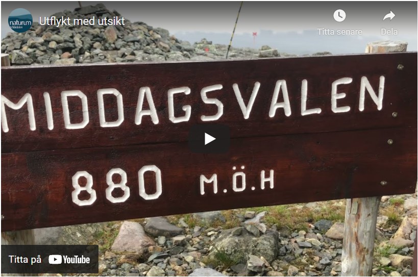 Bild på skylten som markerar Middagavales topp 800 meter över havet