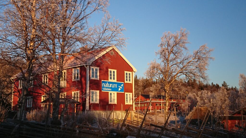 Naturums röda byggnad med vita knutar, omgiven av frostiga träd och blå himmel