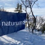 En flagga med naturums logotyp uppspänd mellan fjällbjörkar i vintermiljö