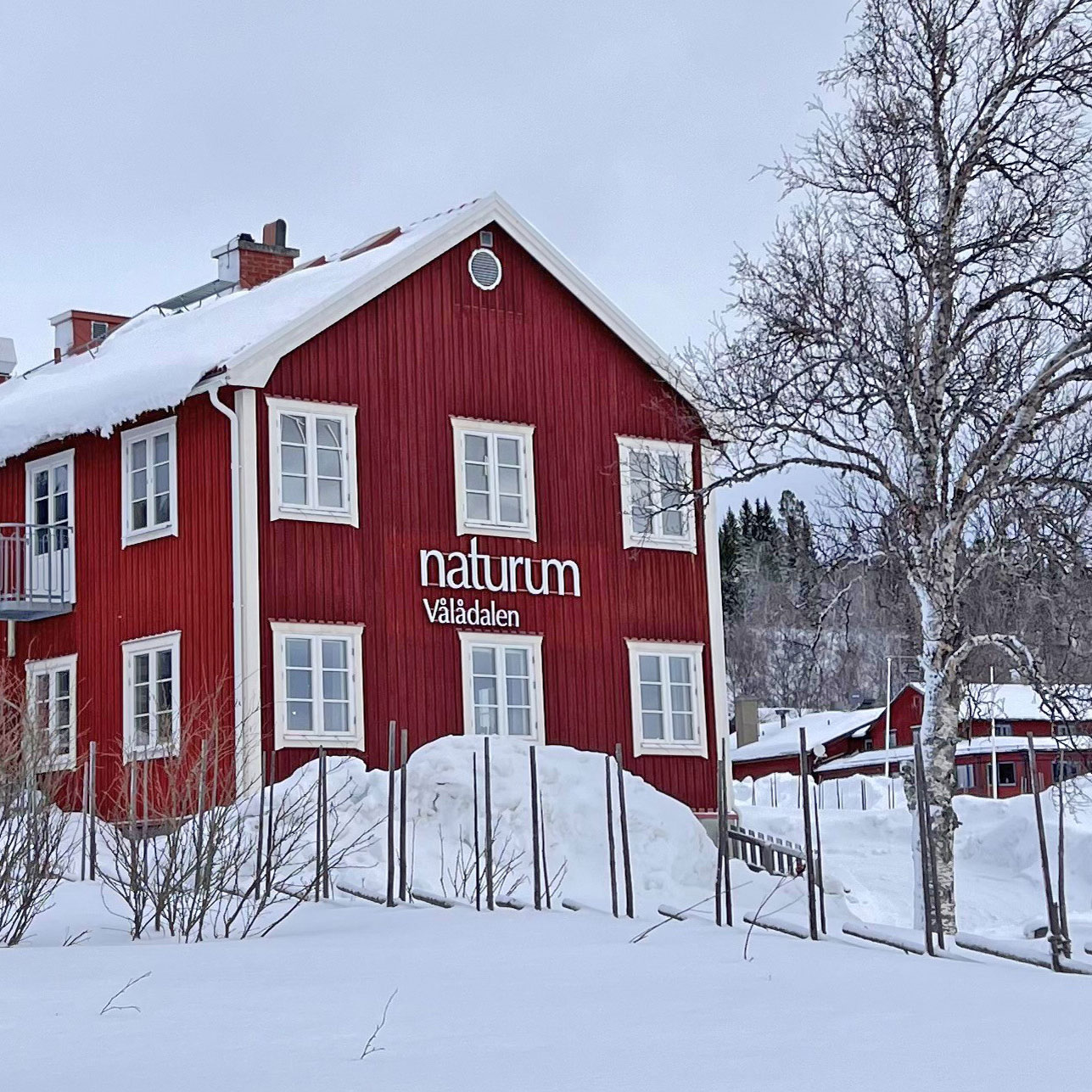 Naturumhuset inbäddat i snö