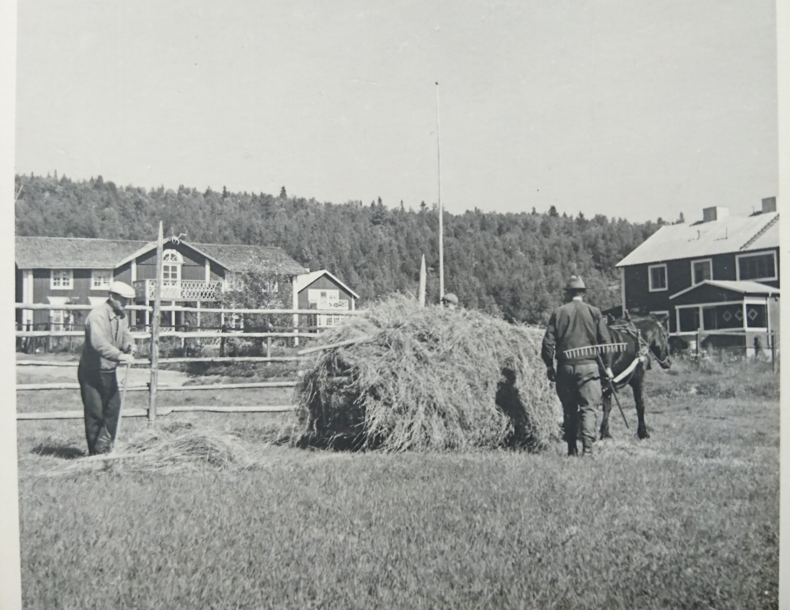 Svartvitt fotografi av tre män och en häst med hölass under höslåtter framför Möllers gård och pensionat i Vålådalen.