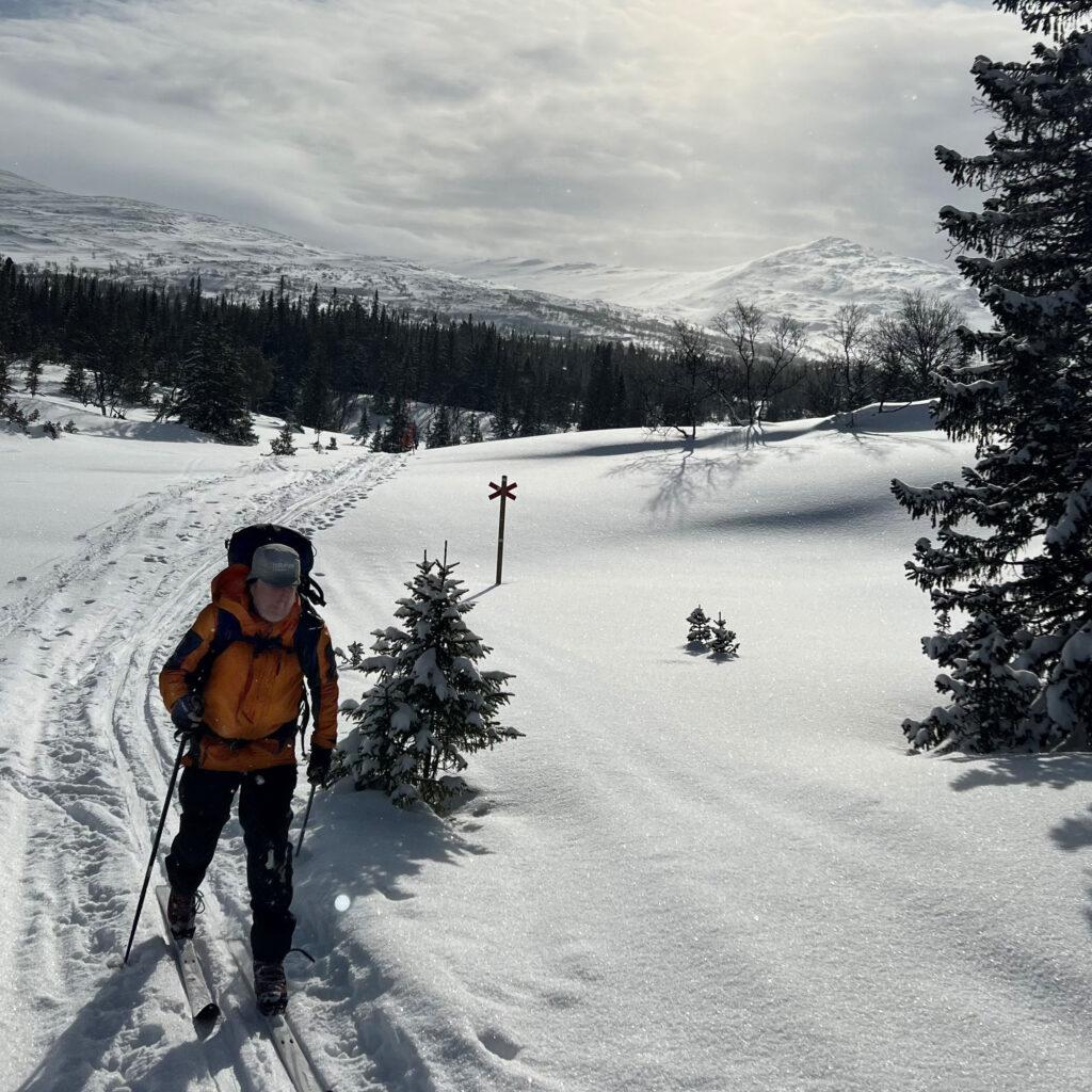 En skidåkare med gul jacka och ryggsäck på väg längs en vinterled med fjäll i bakgrunden