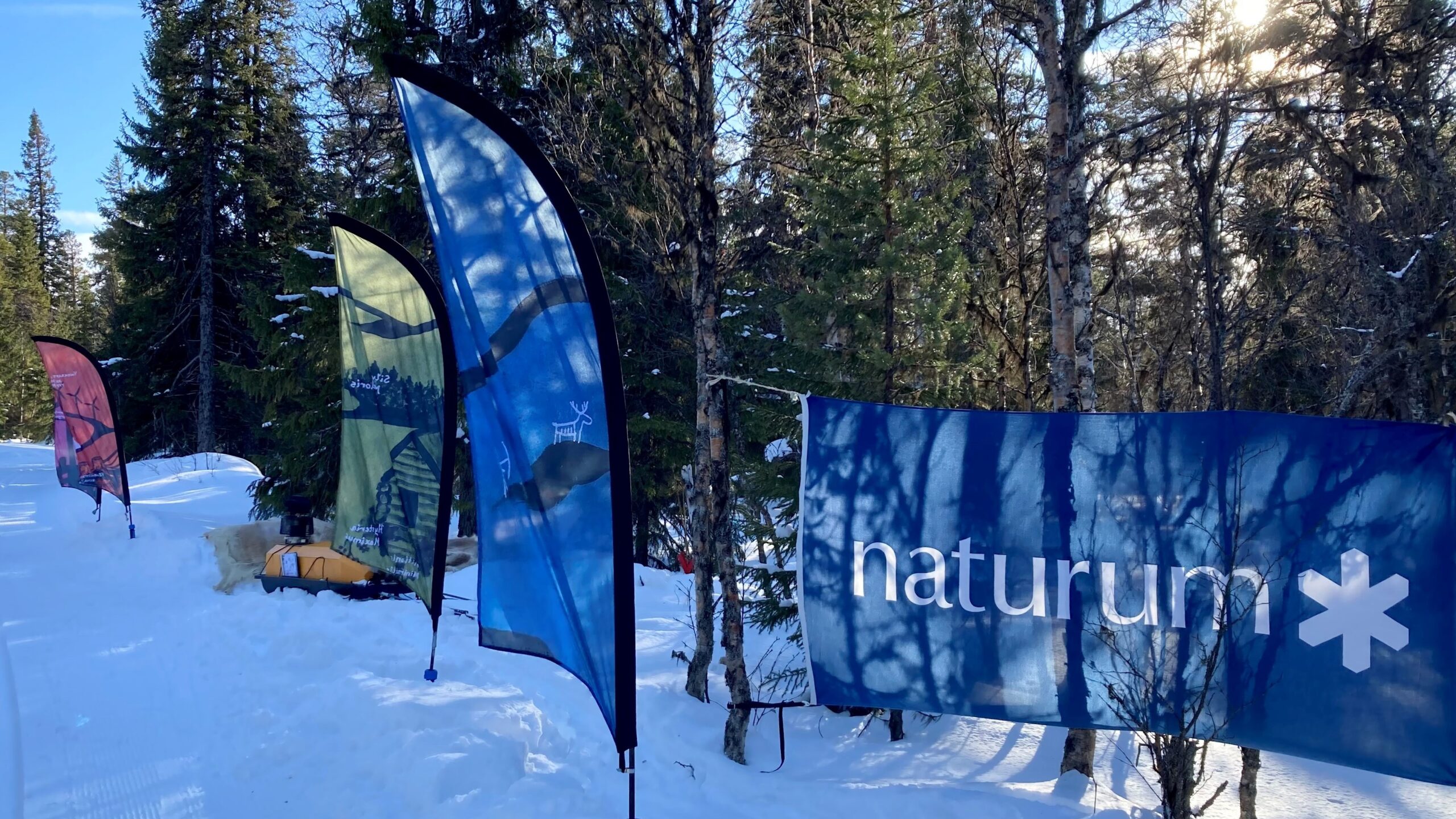 Blå flagga med vit text "naturum" och några färgglada beachflaggor i snöigt skogslandskap