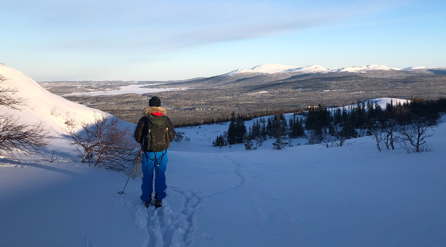 En skidåkare står på en fjällsida med milsvid utsikt över skogar nedanför